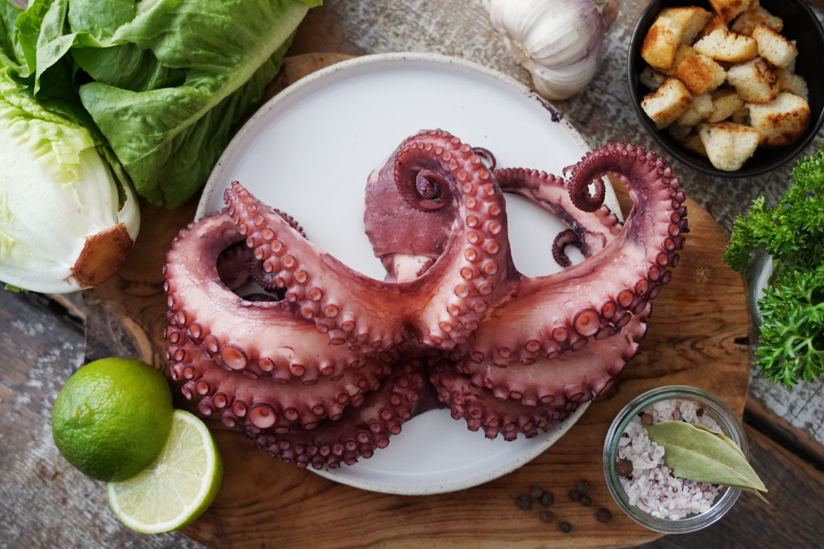 Oktopus ganz gekocht "S"